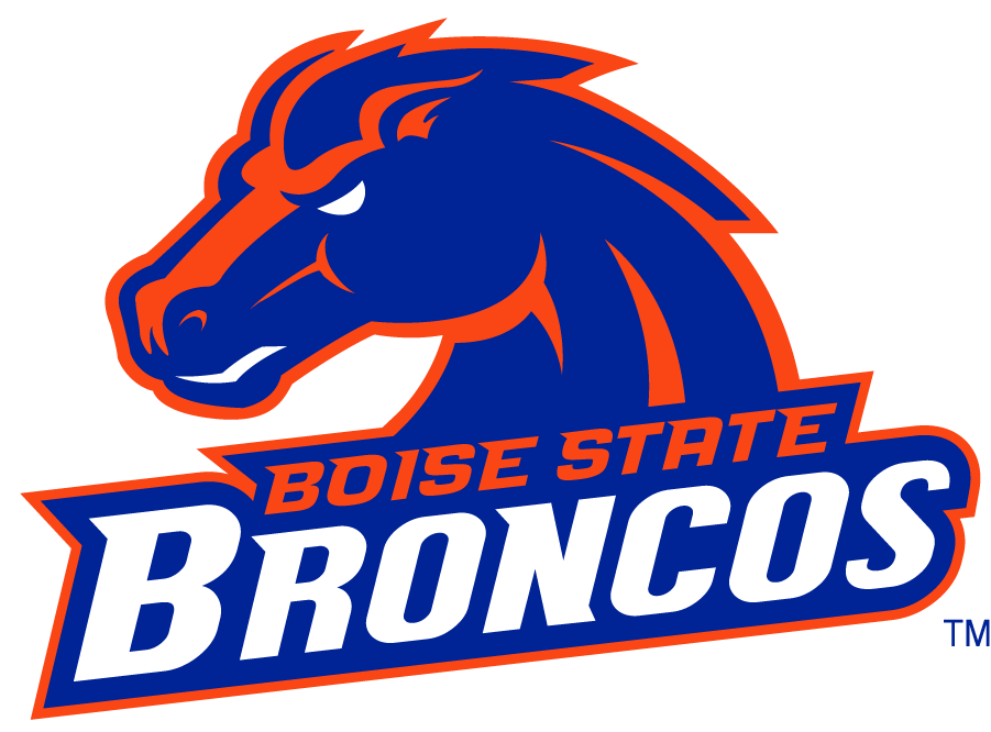 Boise State Broncos 2002-2012 Secondary Logo v10 t shirts iron on transfers